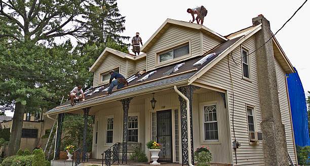 Professional Roofing Contractor in Woodland Hills, UT